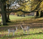 Studley Royal
