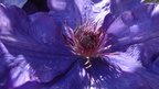 2024 Photo Competition Entries