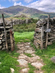 2024 Photo Competition winners