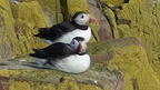 2025 Photo Competition Winners